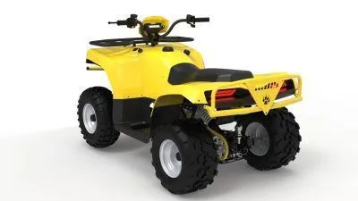 Квадроцикл IRBIS (Ирбис) ATV 250 LUX 2024 зелёный с ПСМ